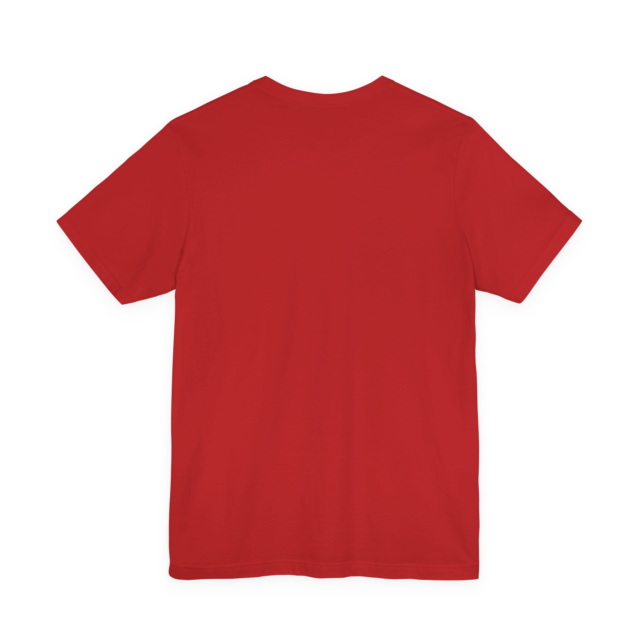 Lion Head Graphic Tee — Minimalist Geometric Lion Shirt - Image 14